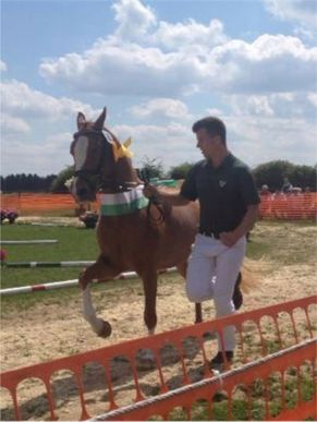 Good Looking siegerstute Kempen 2014 2